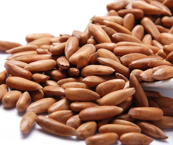 Chilgoja ( 500gm ) - 