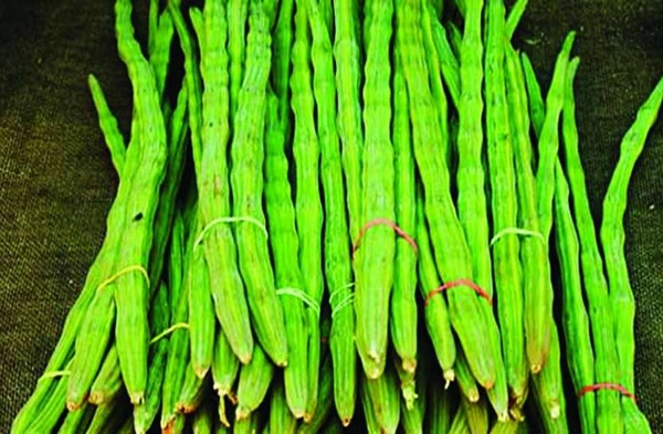 Munga Shuti ( 250gm )