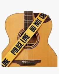 FLARE Guitar Strap for Acoustic Adjustable Buckle Electric Guitar Strap Polyester Guitar Belt For Acoustic/Bass/Electric Guitar with 5 Picks
