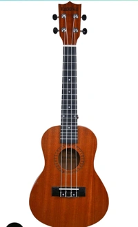 Kadence Concert Ukulele 23", Cinnamon Brown colour, fluorocarbon strings, matt finish with strap and bag (Spring Summer Collection of Ukuleles)