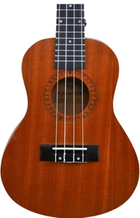 Kadence Concert Ukulele 23", Cinnamon Brown colour, fluorocarbon strings, matt finish with strap and bag (Spring Summer Collection of Ukuleles)