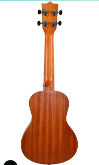 Kadence Concert Ukulele 23", Cinnamon Brown colour, fluorocarbon strings, matt finish with strap and bag (Spring Summer Collection of Ukuleles)