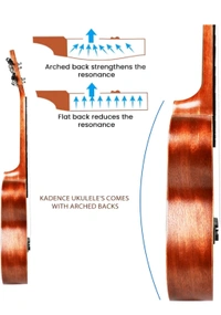 Kadence Concert Ukulele 23", Cinnamon Brown colour, fluorocarbon strings, matt finish with strap and bag (Spring Summer Collection of Ukuleles)