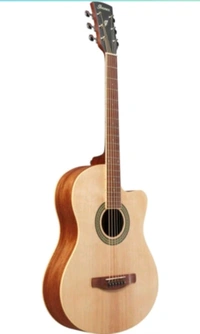 Ibanez 39 Inches Rose Wood Cutaway Acoustic Guitar With Gig-Bag, Polishing Cloth And E-Book