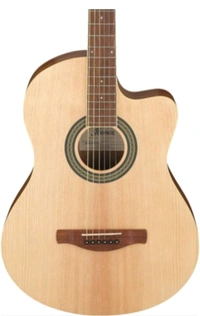 Ibanez 39 Inches Rose Wood Cutaway Acoustic Guitar With Gig-Bag, Polishing Cloth And E-Book