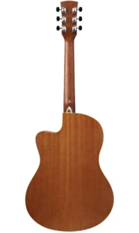 Ibanez 39 Inches Rose Wood Cutaway Acoustic Guitar With Gig-Bag, Polishing Cloth And E-Book