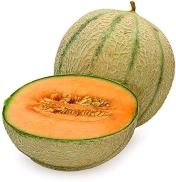 MUSKMELON | ఖర్బుజ