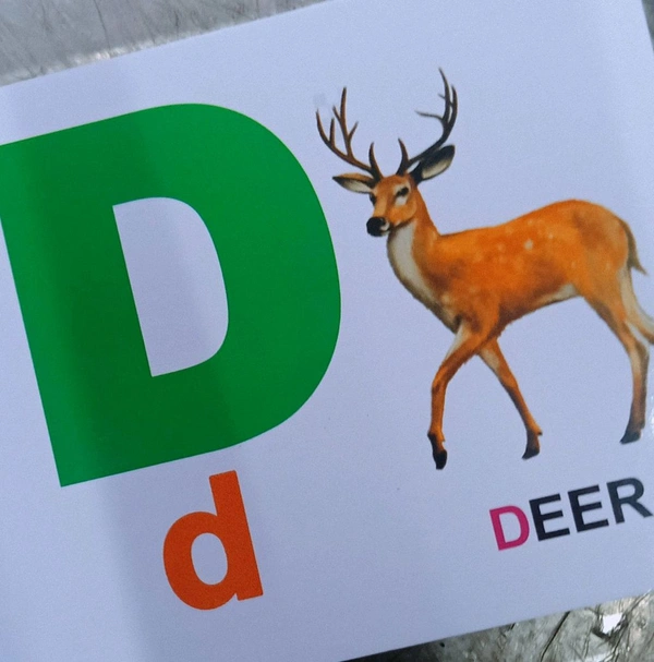 Kids Board Book 