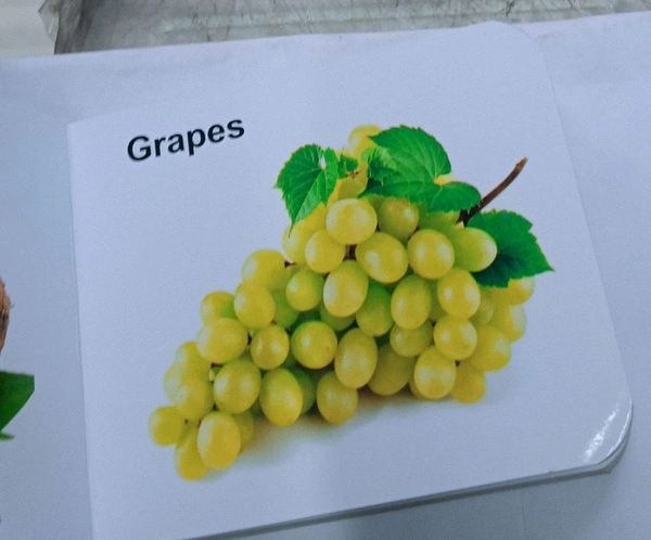 Kids Board Book 
