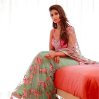 Heavy Embroided Net Sarre