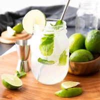 Virgin Mojito - Full