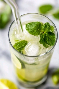 Virgin Mojito - Full