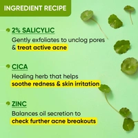 Dot & Key CICA + 2% Salicylic Skin Clearing Face Serum | With Zink & Cactus Water | for Acne & Clear Skin | Serum for Oily ,Acne - Prone Skin & Sensitive Skin | Non Greasy & Non Sticky | 30ml