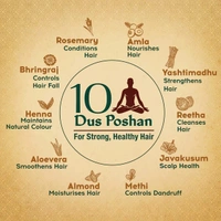 Dabur Vatika Naturals Ayurvedic Shampoo - 340ml
