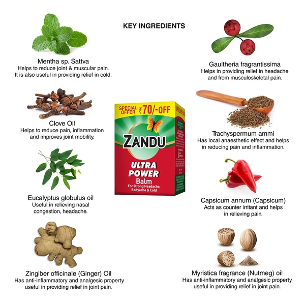 Zandu Ultra Power Balm | For Pain Relief from Strong Headache, Bodyaches & Cold | Bone, Joint & Muscle Care | 50 ML - 8 ml