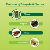 Baidyanath Baidyanath Asli Ayurved Sitopaladi Churna - 60 Gm - 60g