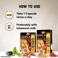 Dabur DABUR Shilajit Gold - 20 Capsules | 100% Ayurvedic Capsules for Strength , Stamina and Power | Premium Ayurvedic Supplement | For Men - 20 Capsules