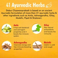 Dabur Chyawanprakash Sugarfree | Clinically Tested Safe for Diabetics | Boosts Immunity - 500 gm