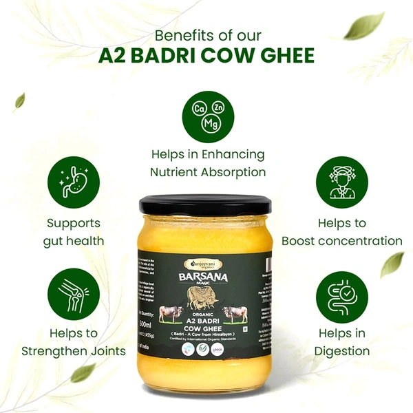 Sanjeevani Organics Organic A2 Badri Cow Ghee 500ML