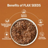 Conscious Food Organic Flax Seeds | 200g
