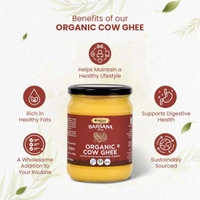Sanjeevani Organics Organic Cow Ghee 500ML