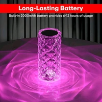 LUXORA GLOW 16 Color Changing Rose Crystal Diamond Table Lamp,USB Rechargeable Touch Bedside Lamp Night Light with Remote Control!