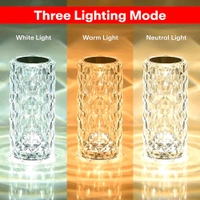 LUXORA GLOW 16 Color Changing Rose Crystal Diamond Table Lamp,USB Rechargeable Touch Bedside Lamp Night Light with Remote Control!