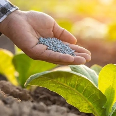 Fertilizer