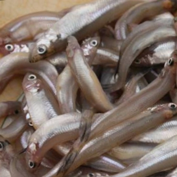 Nethili Fish 1kg(apx 850grm 950grm)