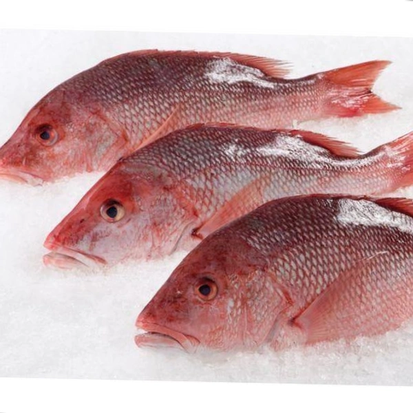 Sankara Fish |சங்கர மீன் 850grm To 1kg