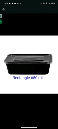 Royal Rectangular Container - Black, 500 Ml