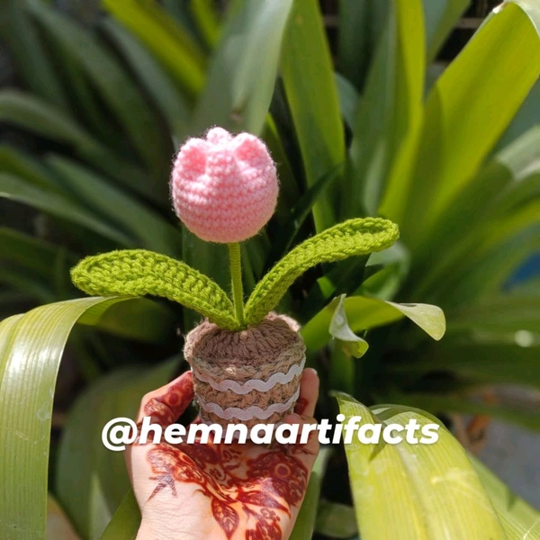 Tulip Flower Pot  - Pink, 8 Inches