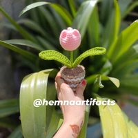 Tulip Flower Pot  - Pink, 8 Inches