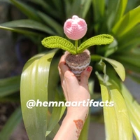 Tulip Flower Pot  - Pink, 8 Inches