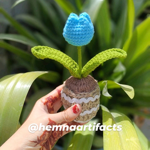 Tulip Flower Pot 