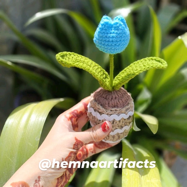 Tulip Flower Pot 