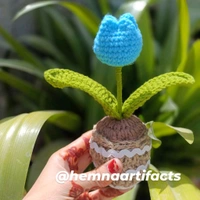 Tulip Flower Pot 
