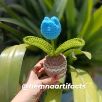 Tulip Flower Pot 
