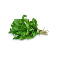 Mint Leaves (Pudina) - 100 g