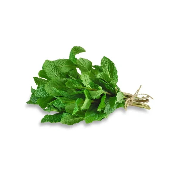 Mint Leaves (Pudina) - 100 g