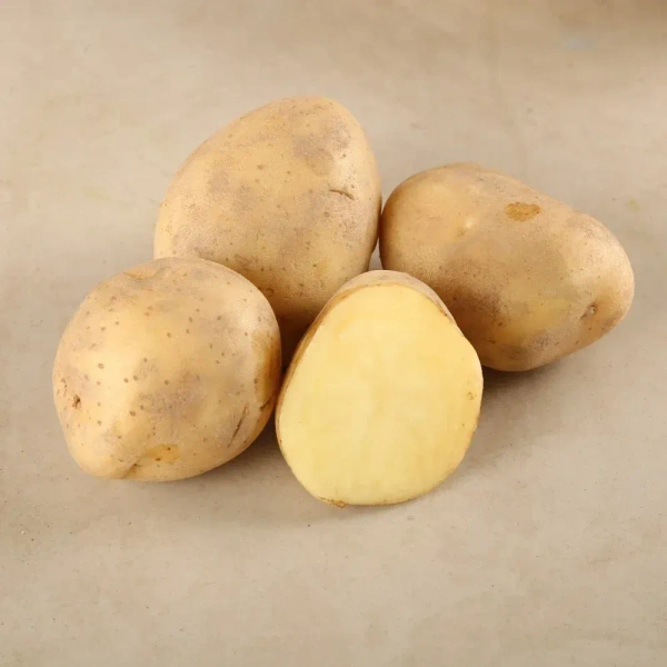 Chipsona Potato (Aloo) - (0.95 - 1.05) kg