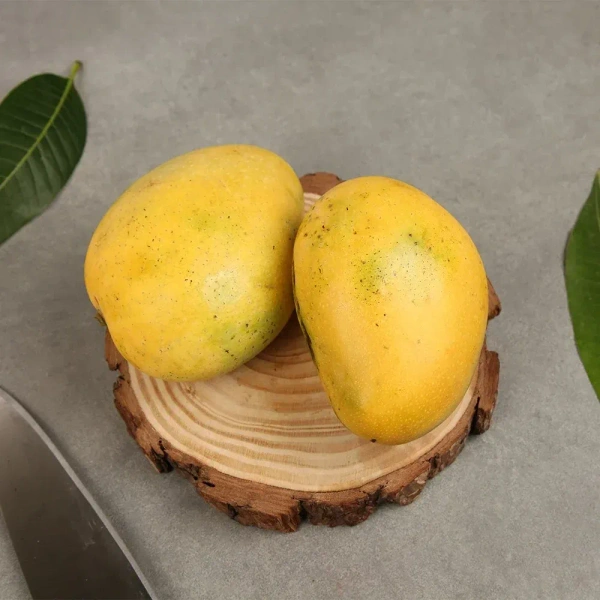 Safeda / Banganapalli Mango (Safeda Aam) - 500 g