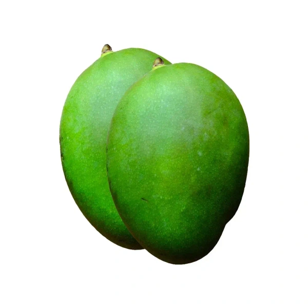 Raw Mango (Kaccha Aam) - 500 g