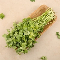 Coriander Bunch (Dhaniya Patta) - 100 g