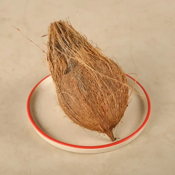 Brown Coconut - 1 piece