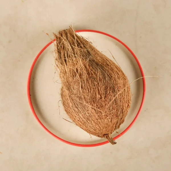 Brown Coconut - 1 piece