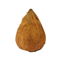 Brown Coconut - 1 piece