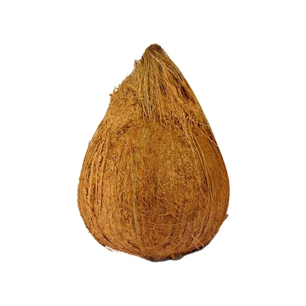 Brown Coconut - 1 piece