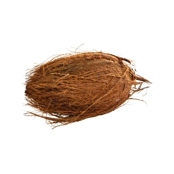 Brown Coconut - 1 piece