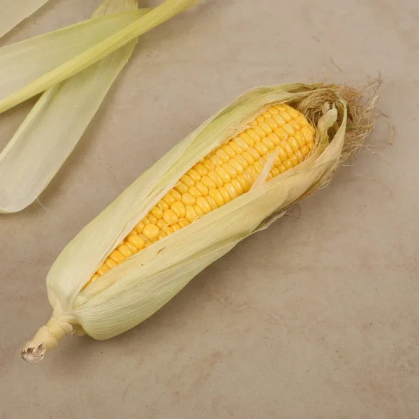 Corn Cob (Bhutta) - 1 piece